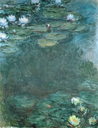 Water-Lilies
